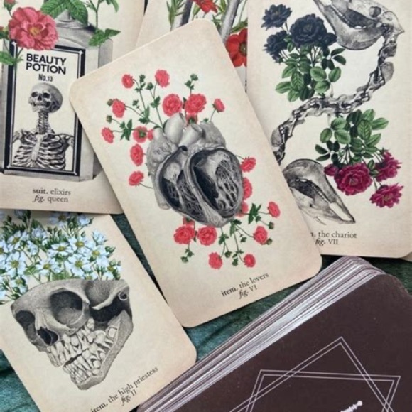 NEW The Antique Anatomy Tarot Cards Deck Divination Witchcraft - Picture 3 of 6